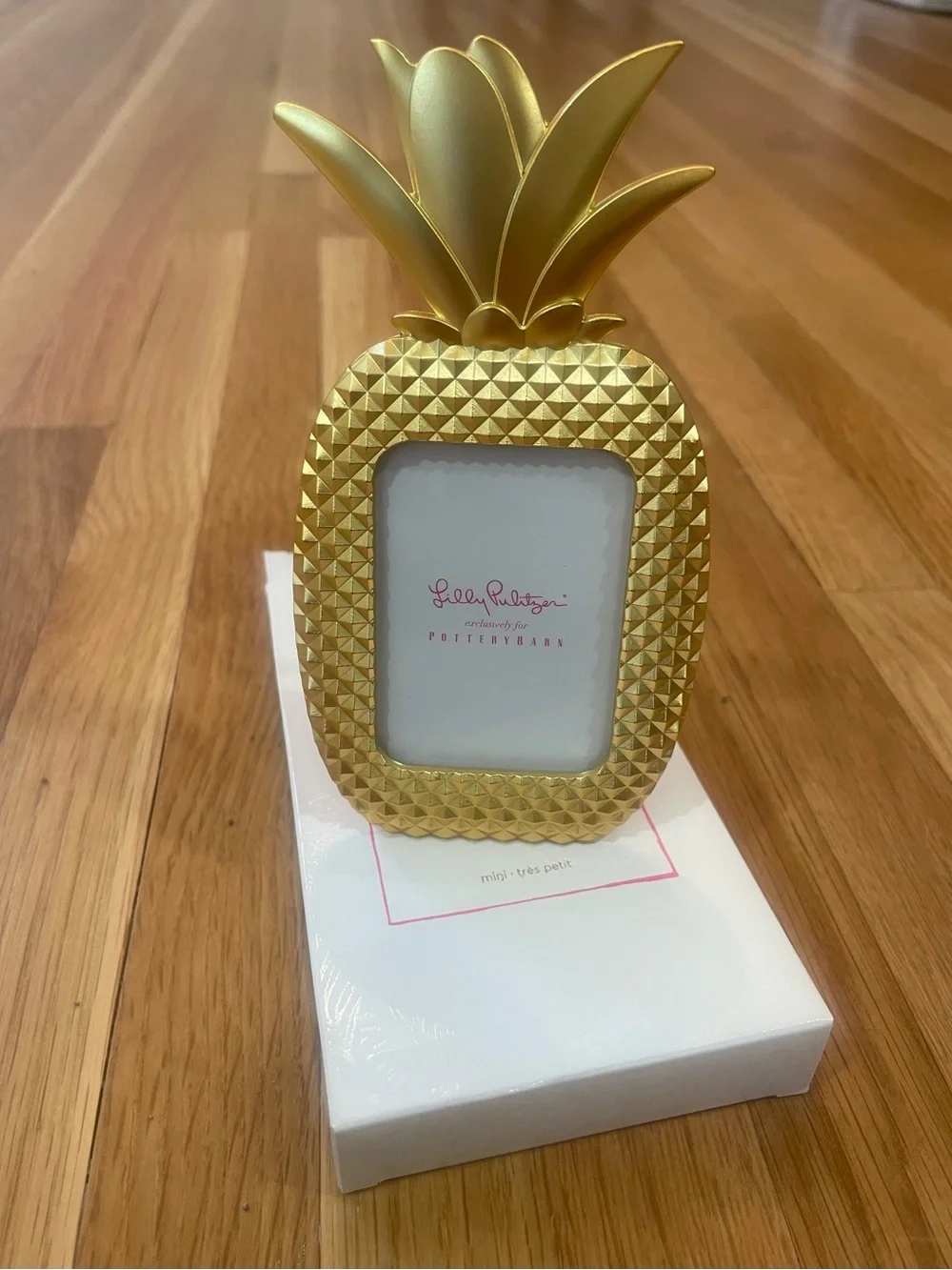 NEW Lilly Pulitzer Gold Pineapple Frame